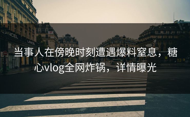 当事人在傍晚时刻遭遇爆料窒息，糖心vlog全网炸锅，详情曝光