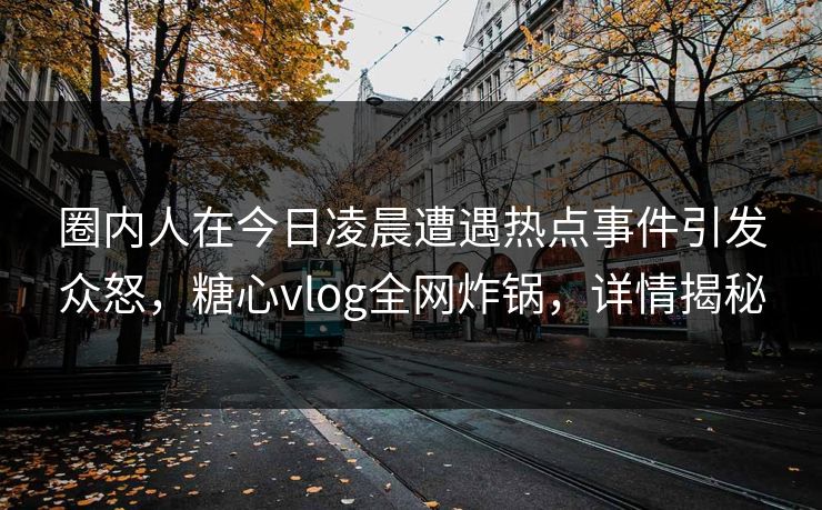圈内人在今日凌晨遭遇热点事件引发众怒,糖心vlog全网炸锅,详情揭秘 圈内人在今日凌晨遭遇热点事件引发众怒,糖心vlog全网炸锅,详情揭秘